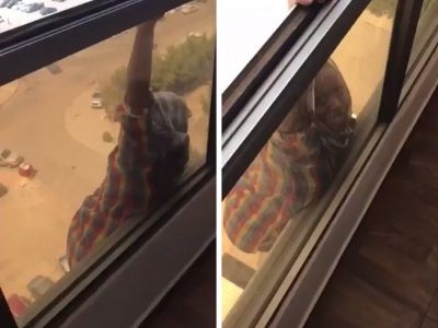 Woman-films-maid-hanging-falling-instead-helping-