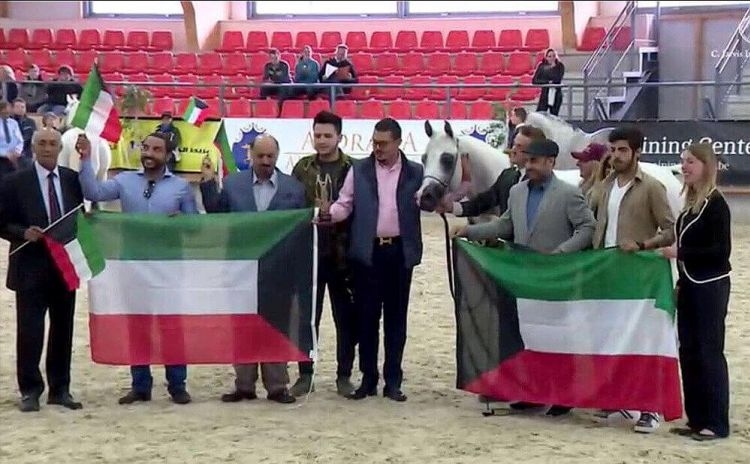 Sheikh-hamad-khaled-al-hamad-al-malik-al-sabahs-stallion-wins-gold-at-international-horse-show-the-tulip-cup-netherlands-1