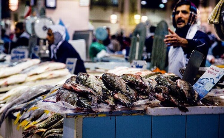 Kuwait-fish-prices-high-1