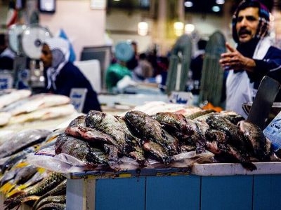 Kuwait-fish-prices-high-1